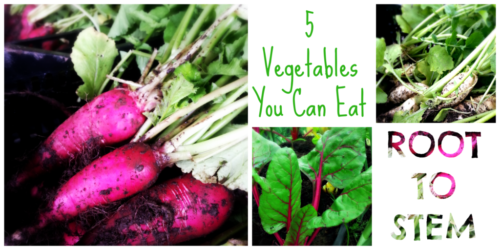 5 Vegetables You Can Eat Root To Stem