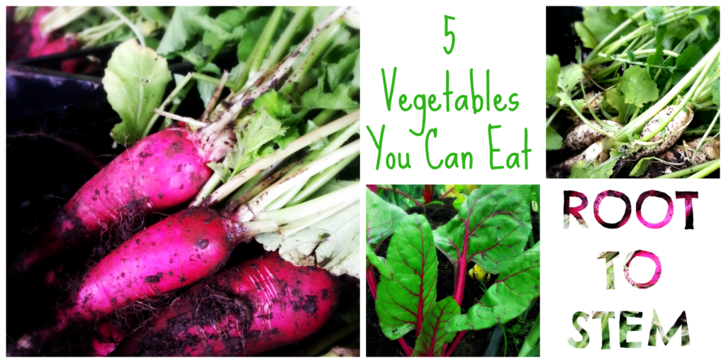 5-vegetables-you-can-eat-root-to-stem-seed-st-louis