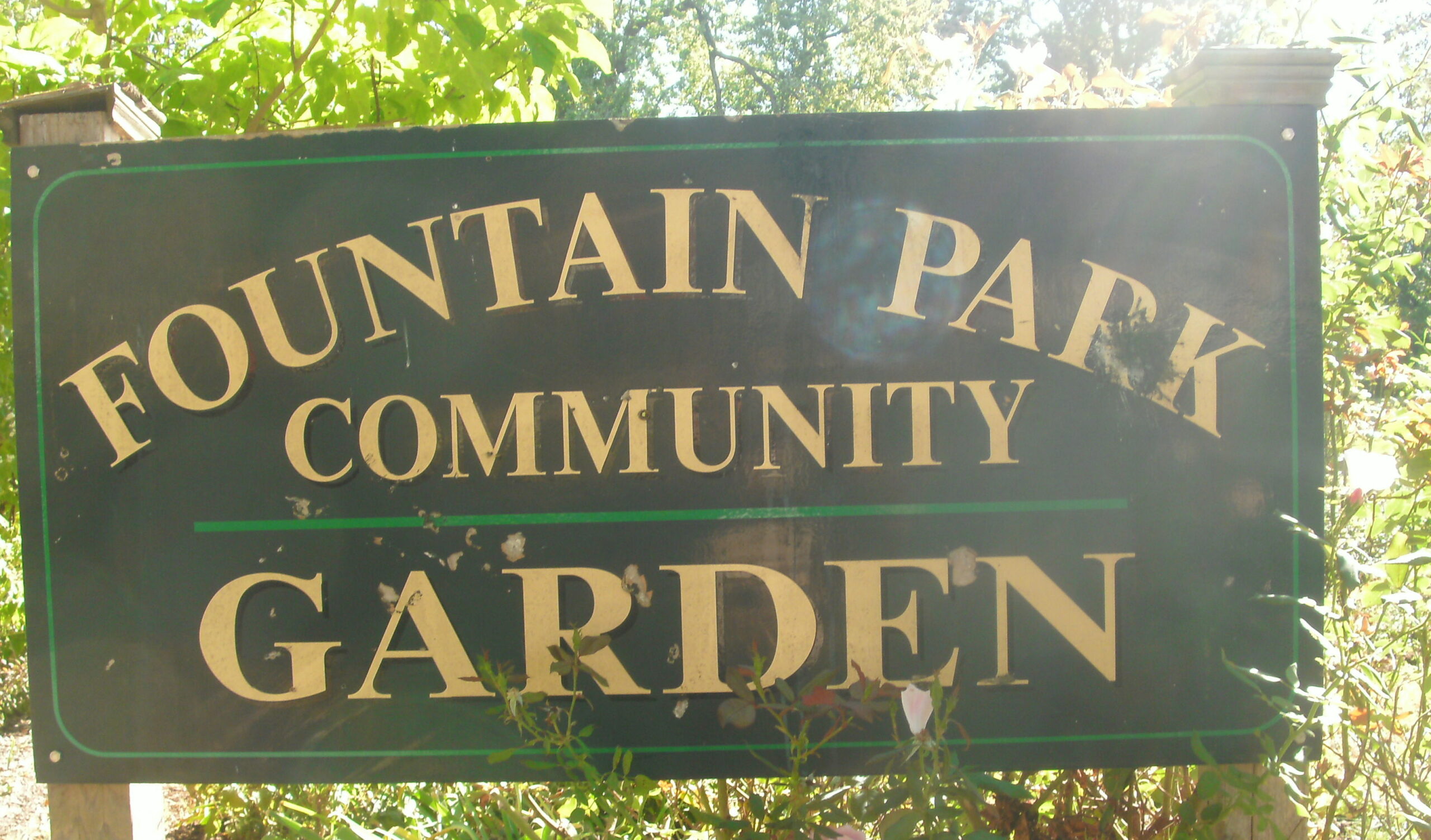 Fountain Park Community Garden 01
