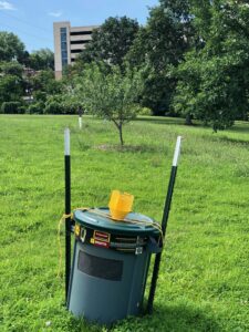 Large trashcan mass trap.  These generally only need to be emptied at the end of the Japanese beetle season.