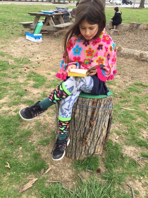 Another great feature in any community or school garden is to have a place to sit. These stumps were delivered free through city forestry department. This student is reading a book she checked out from the Little Free Library that lives in the garden. It's all about creating spaces that invite.  