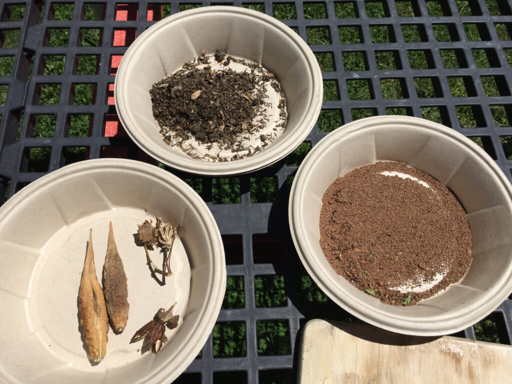Seeds we had collected during our seeds class in fall are being used this spring for soap making. Be sure to check out our You Tube chennel to see our video on how to make soap in the garden.