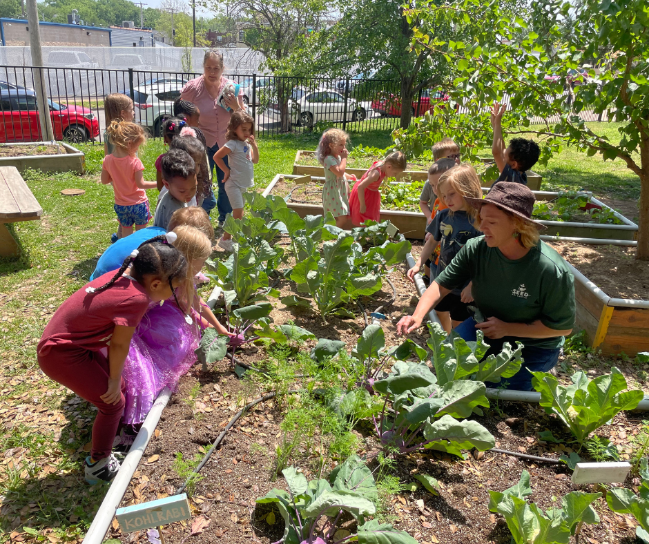 School Garden Maintenance Strategies for Summer & Beyond