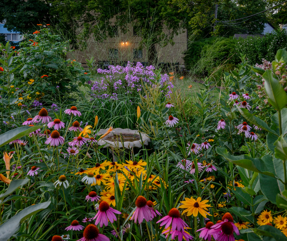 Fall School Gardener Meet-Up & Perennial Plant Swap