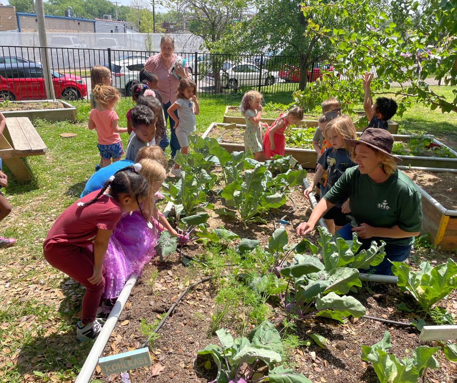 School Garden Workshop: Summer Maintenance for Fall Learning