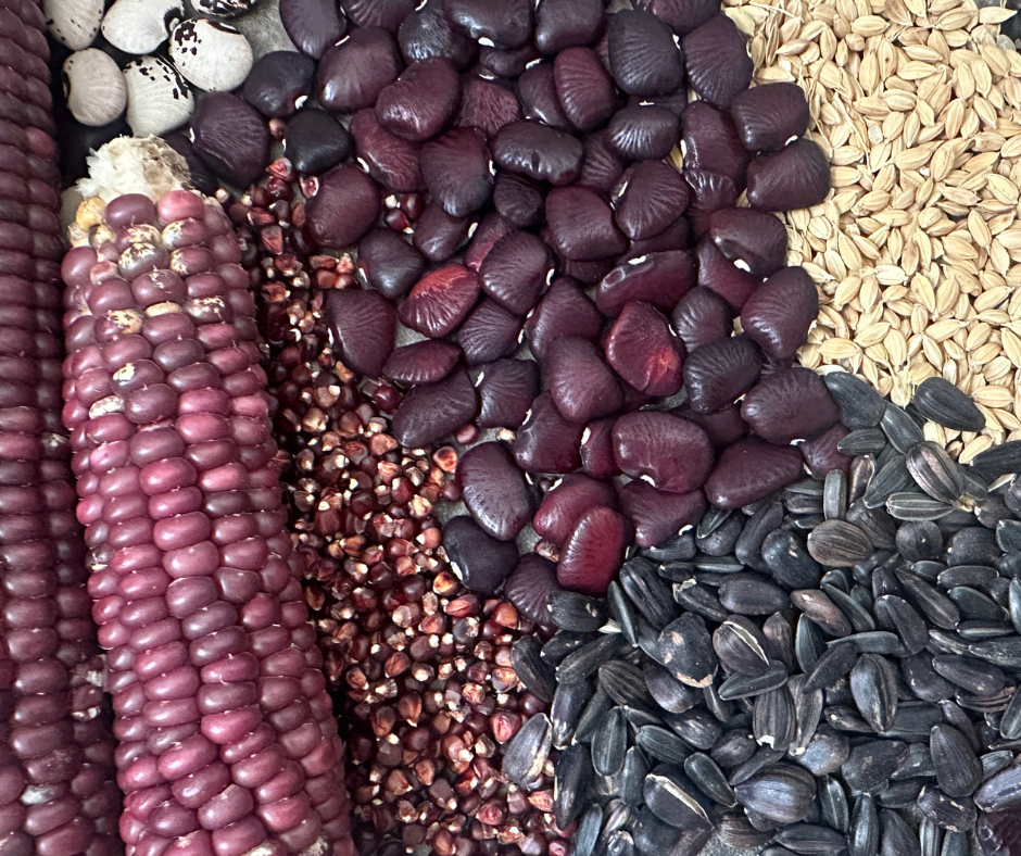 Seed Crops: The Forgotten Foods  of the Garden