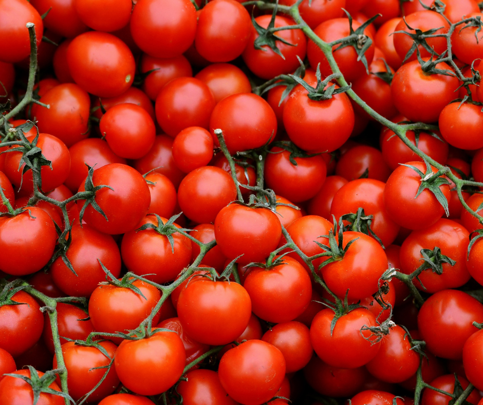 Everything Tomatoes