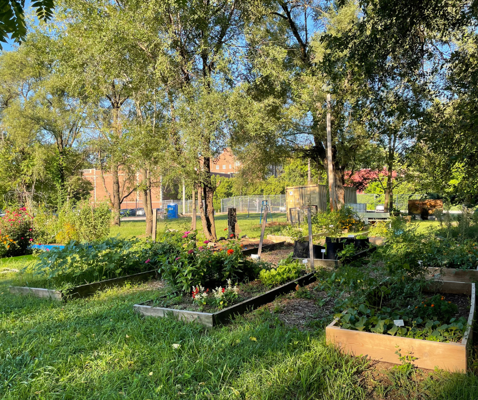 How to Start a Community Food Project (Virtual)